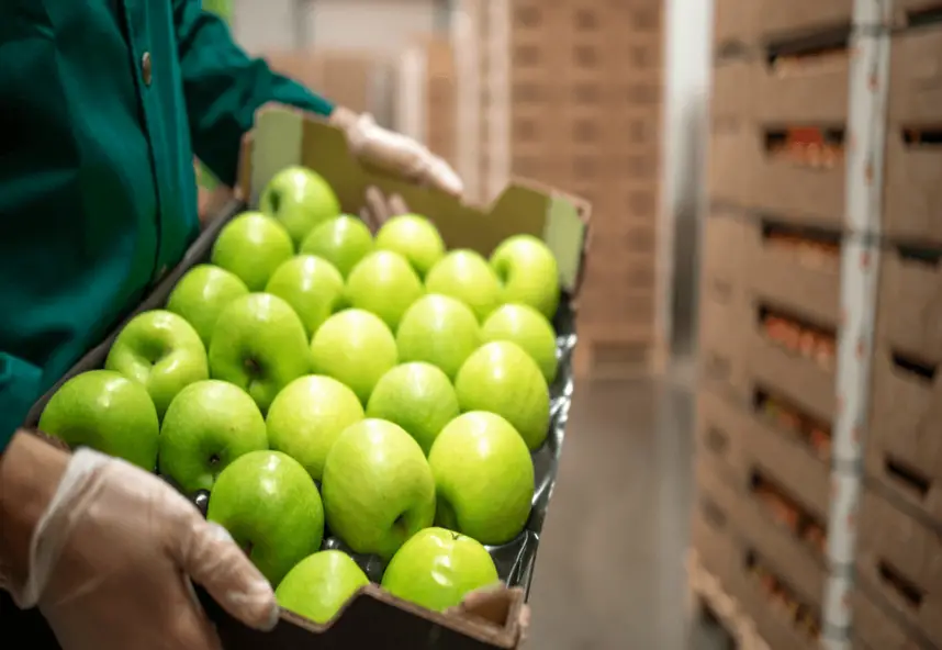 The Importance of Food Safety in the Saudi Culinary Industry