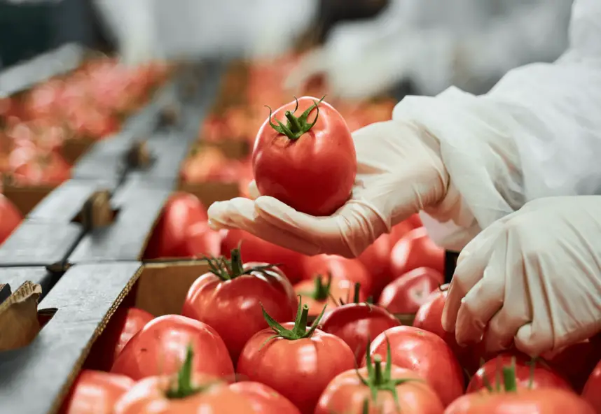 How Goody Brands are Redefining the Saudi B2B Culinary Industry