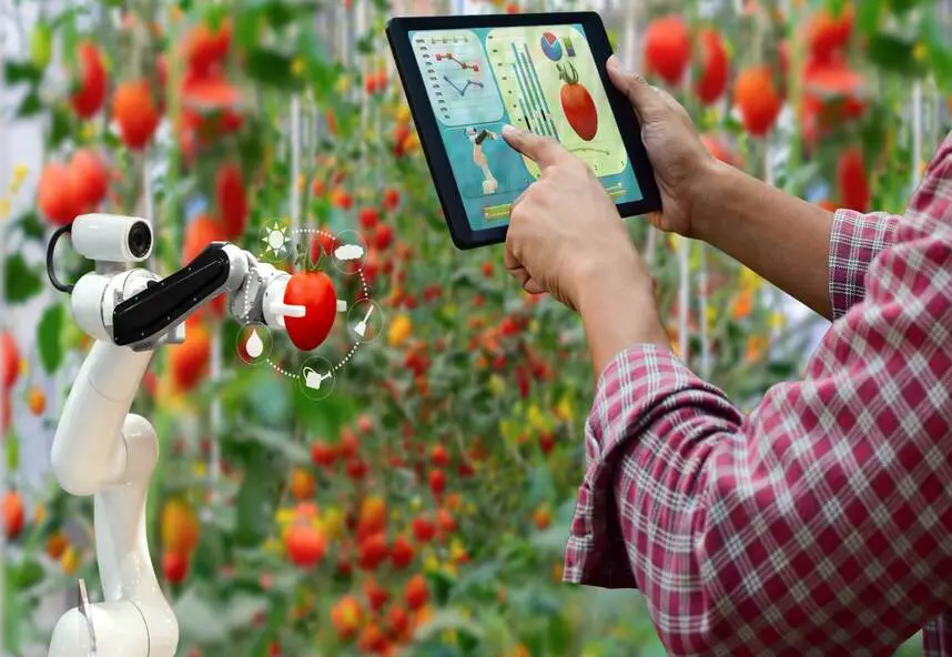 R&D in Product Innovation: Case of Saudi Culinary Industry